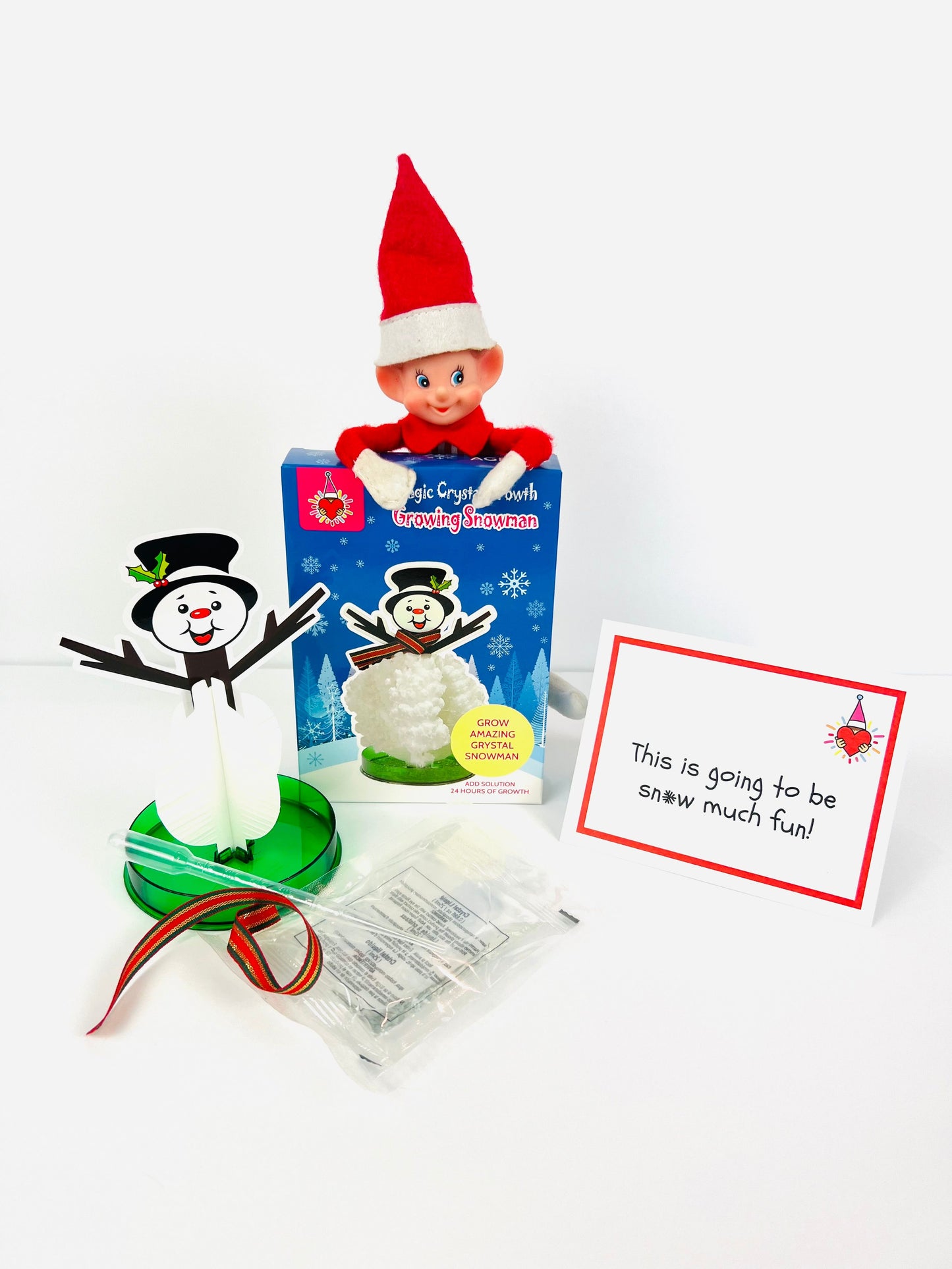 Teacher Elf Kit