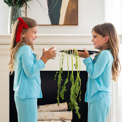 Santa and Reindeer Treat Plate